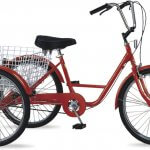tricycle_245sp